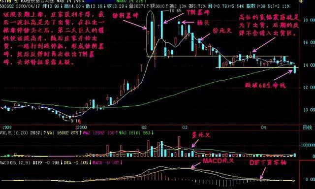 一位职业股民直言：以炒股为生的人到底是什么样的？此文很有深意