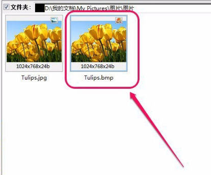 使用acdsee转换图片文件格式的过程(acdsee如何转换图片格式)