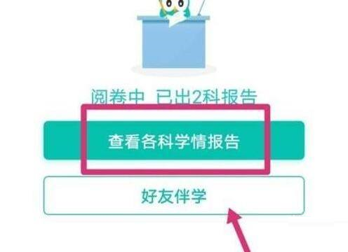 智学网学生版如何查看各科学情报告