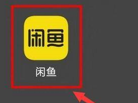 闲鱼怎么查找闲鱼用户