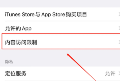 苹果15设置内容访问权限方法