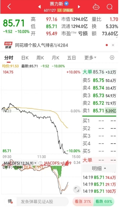 赛力斯股价大跌10% 汽车板块多只股票跟跌